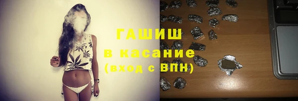 стаф Алзамай