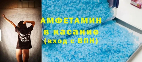 стаф Алзамай